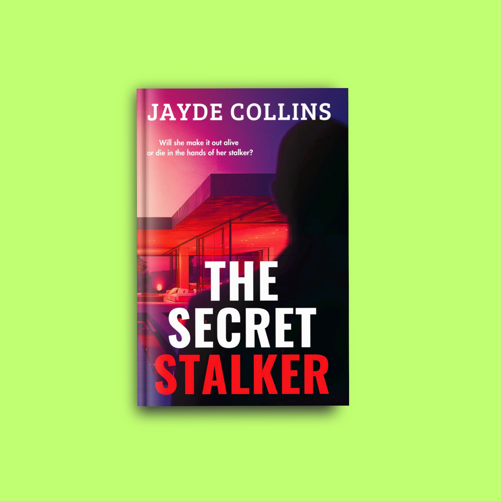The Secret Stalker Paperback
