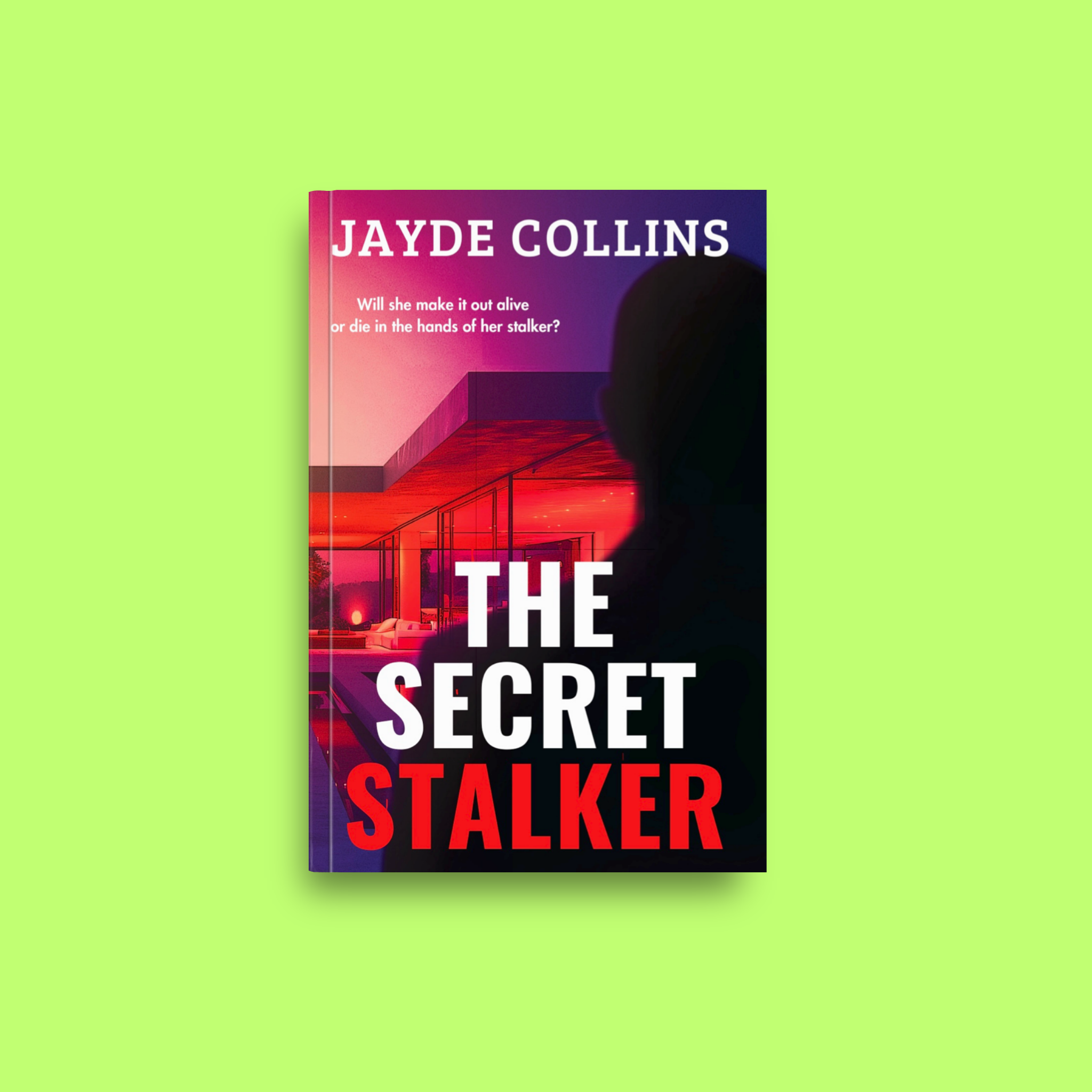 The Secret Stalker Paperback